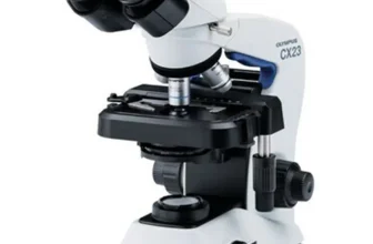 What is the Best Microscope for Microbiology?